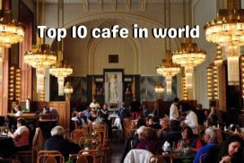 Top 10 cafe in world