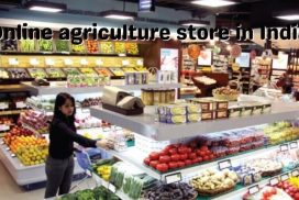 Online agriculture store in India