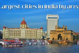 Largest cities in India by area