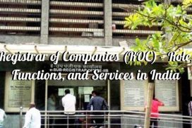 Registrar of companies (roc)