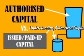 Shareholding capital business