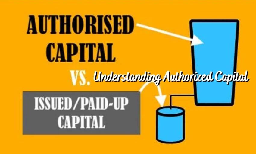 Shareholding capital business