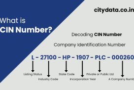 Corporate identification number (cin)