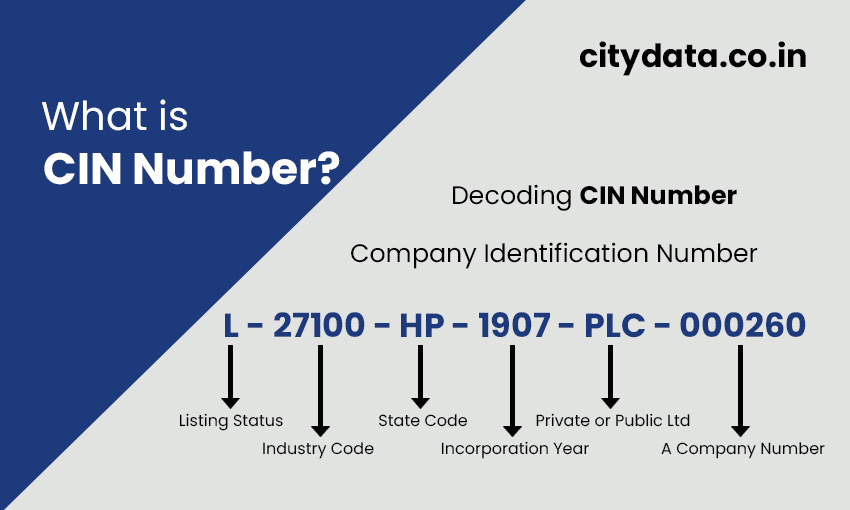 Corporate identification number (cin)